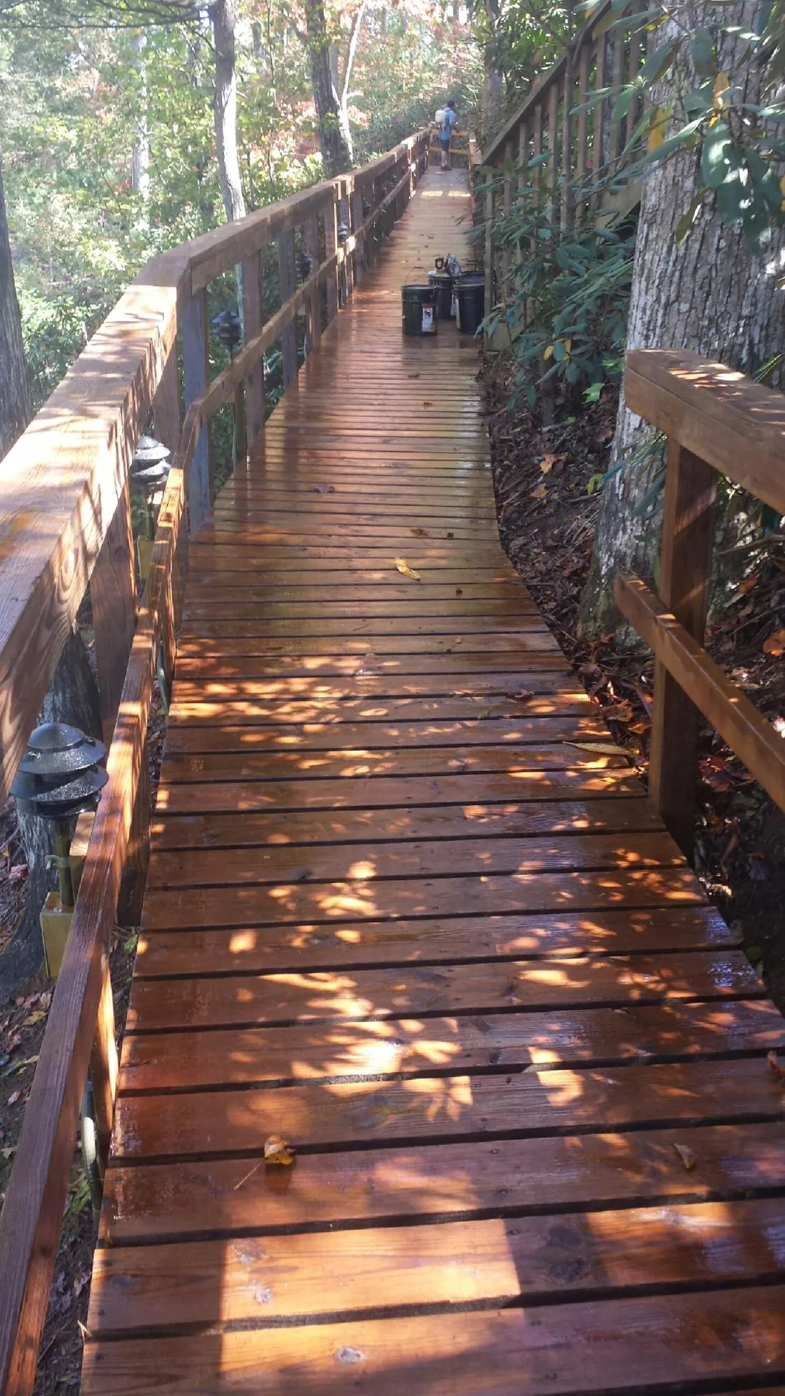Freshly stained wood walkway winding through the woods in Baileyton